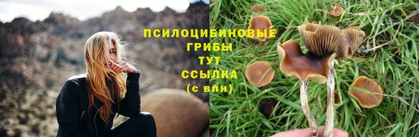 мяу мяу кристалл Алексин